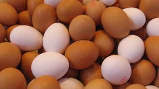 Todo lo que necesitas saber sobre la retirada masiva de huevos en Estados Unidos por un brote de salmonella <em></em>